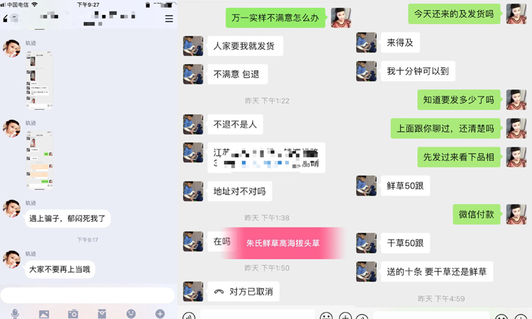 蟲草騙局圖片