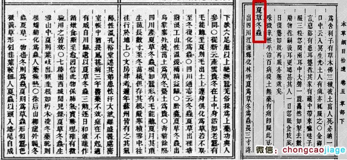 本草綱目拾遺冬蟲夏草原文圖片