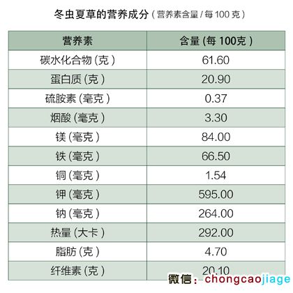 冬蟲(chóng)夏草的營(yíng)養(yǎng)成分