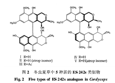 冬蟲(chóng)夏草中5種新的ES-242s類(lèi)似物