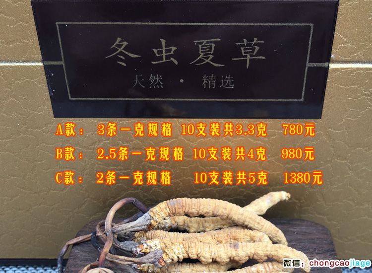 冬蟲夏草禮盒