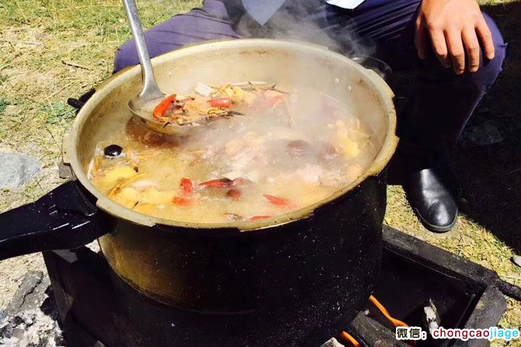 冬蟲夏草燉羊肉湯