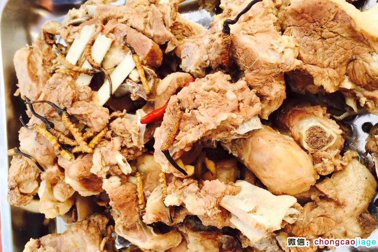羊肉燉蟲草