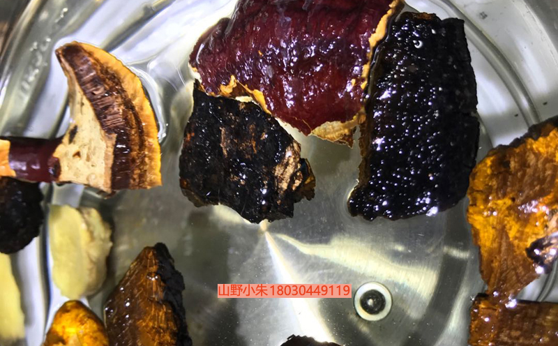 桑黃煮水圖片 桑黃煮水圖片