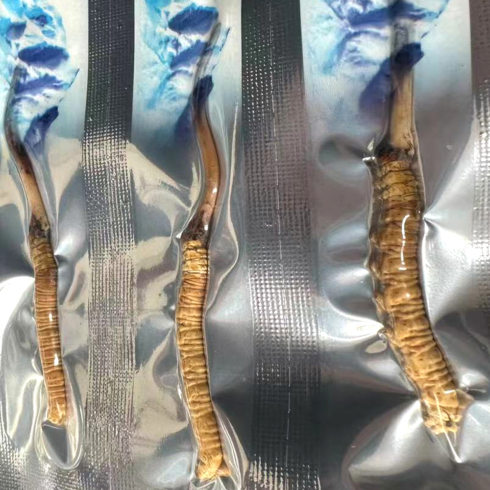 新鮮蟲草真空包裝 新鮮蟲草真空包裝