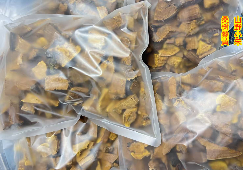 桑樹桑黃切塊 桑樹桑黃切塊